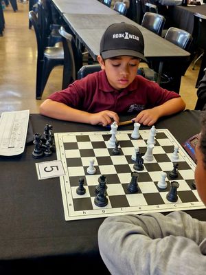 WhatsApp Image 2025-09-27 at 12.34.27.jpeg