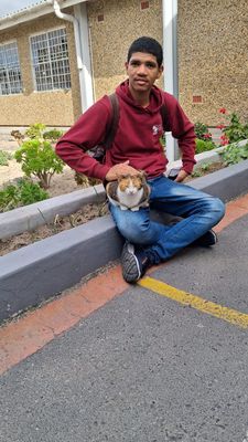 WhatsApp Image 2025-10-07 at 19.00.18.jpeg